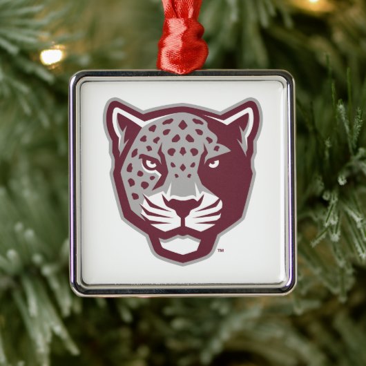 Texas A&M University - San Antonio | Jaguars Metalen Ornament (Boom)