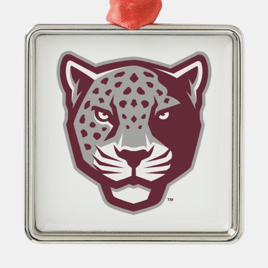 Texas A&M University - San Antonio | Jaguars Metalen Ornament (Voorkant)