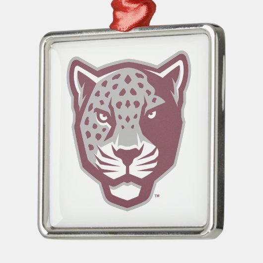 Texas A&M University - San Antonio | Jaguars Metalen Ornament (Links)
