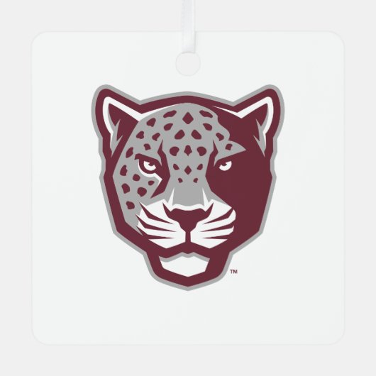 Texas A&M University - San Antonio | Jaguars Metalen Ornament (Voorkant)