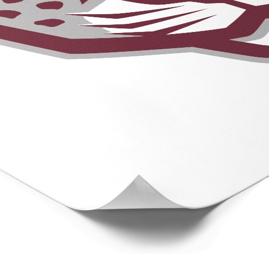 Texas A&M University - San Antonio | Jaguars Poster (Hoek)