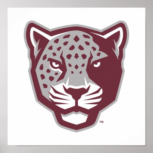 Texas A&M University - San Antonio | Jaguars Poster (Voorkant)