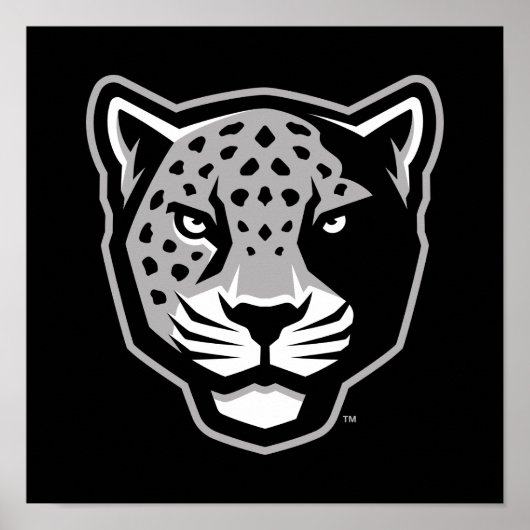 Texas A&M University - San Antonio | Jaguars Poster (Voorkant)