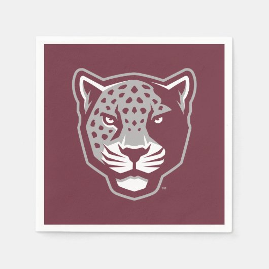Texas A&M University - San Antonio | Jaguars Servet (Voorkant)