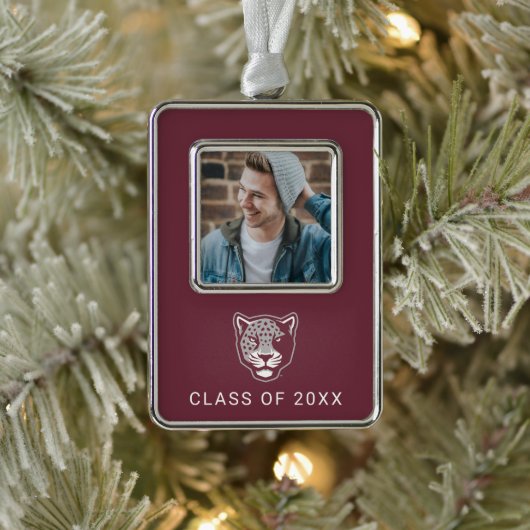 Texas A&M University - San Antonio | Jaguars Verzilverd Omlijst Ornament (Boom)