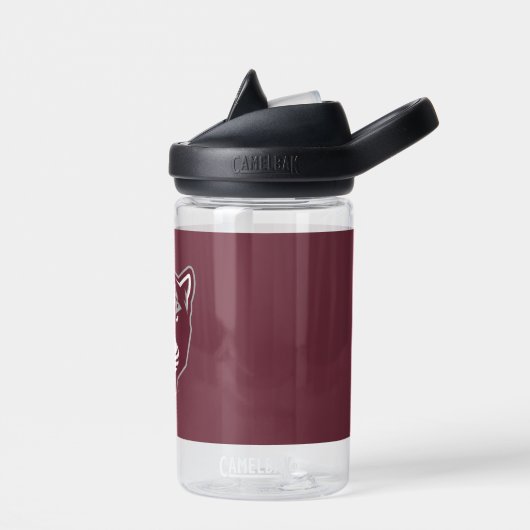 Texas A&M University - San Antonio | Jaguars Waterfles (Links)