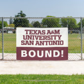 Texas A&M University - San Antonio Spandoek (Insitu)