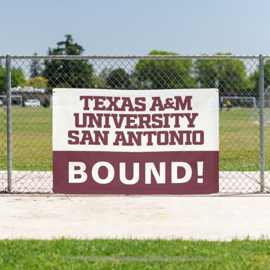 Texas A&M University - San Antonio Spandoek (Insitu)