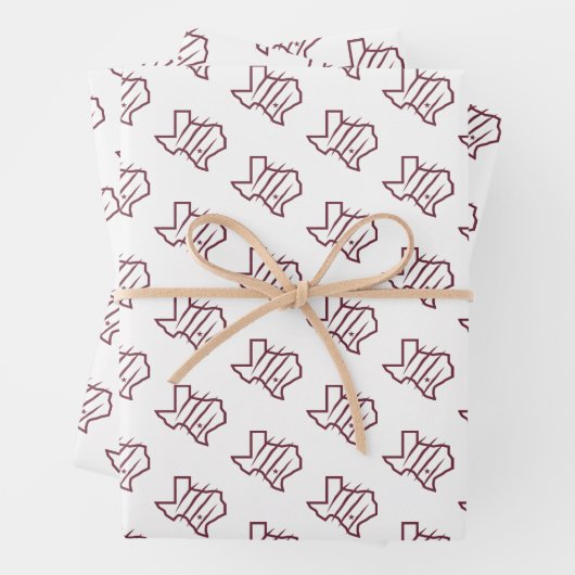 Texas A&M University - San Antonio | Staat Logo Inpakpapier Vel (In situ)