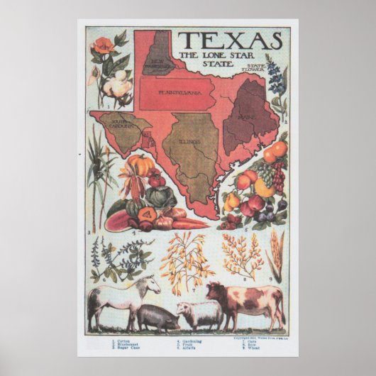 Texas Agricultural Map (1922) Poster (Voorkant)