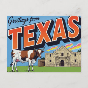 Texas Alamo Longhorn Cow Groeten Briefkaart