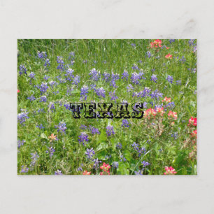 TEXAS Ansichtkaart Briefkaart
