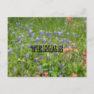 TEXAS Ansichtkaart Briefkaart