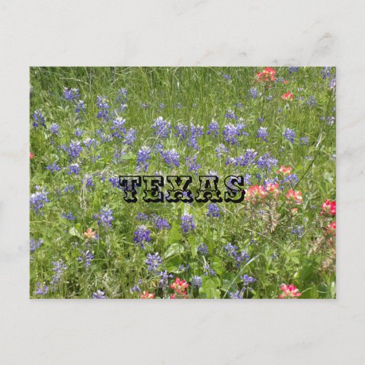 TEXAS Ansichtkaart Briefkaart (Voorkant)