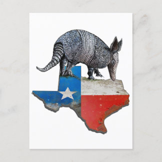 Texas Armadillo Briefkaart