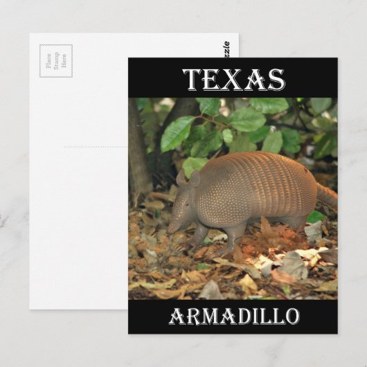 Texas Armadillo Briefkaart (Voorkant / Achterkant)