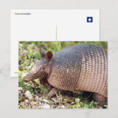Texas Armadillo Briefkaart #3 (Voorkant / Achterkant)