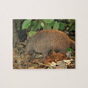 Texas Armadillo Legpuzzel