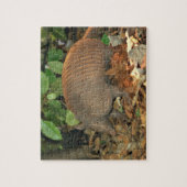Texas Armadillo Legpuzzel (Verticaal)