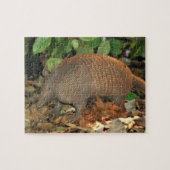 Texas Armadillo Legpuzzel (Horizontaal)