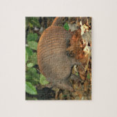 Texas Armadillo Legpuzzel (Verticaal)