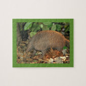 Texas Armadillo Legpuzzel (Horizontaal)