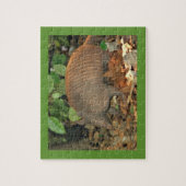Texas Armadillo Legpuzzel (Verticaal)