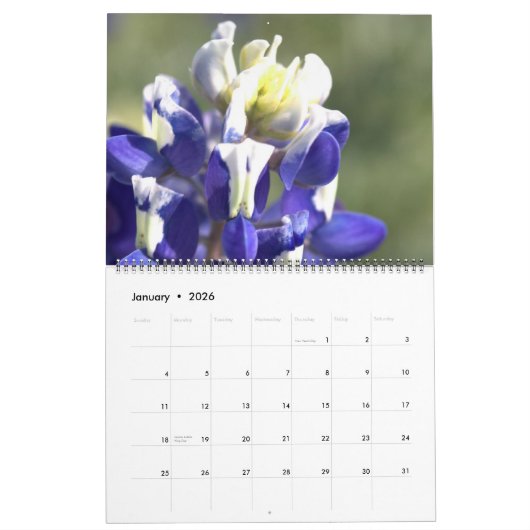 Texas Beauties: Creëer Uw eigen bluebonnet Kalender (Jan 2026)