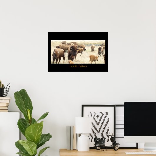 Texas Bison Poster (Thuiskantoor)
