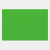 Texas Blue Bonnet Blitz Design Inpakpapier Vel (Voorkant 2)