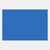 Texas Blue Bonnet Blitz Design-Sky Blue Green Inpakpapier Vel (Voorkant 3)