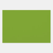 Texas Blue Bonnet Blitz Design-Sky Blue Green Inpakpapier Vel (Voorkant 2)