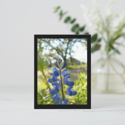 Texas Blue Bonnet Briefkaart (Staand voorkant)