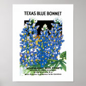 Texas Blue Bonnet Seed Packet Label Poster (Voorkant)