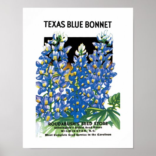 Texas Blue Bonnet Seed Packet Label Poster (Voorkant)