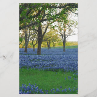 Texas Blue Bonnets