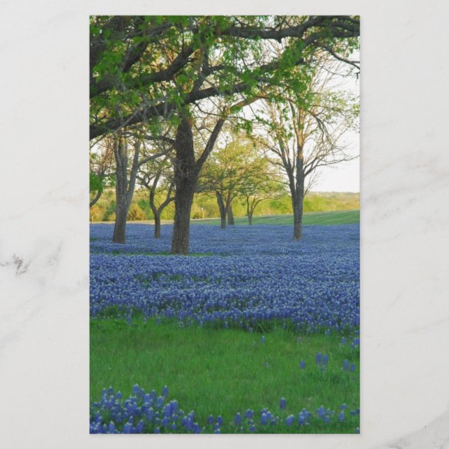 Texas Blue Bonnets (Voorkant)