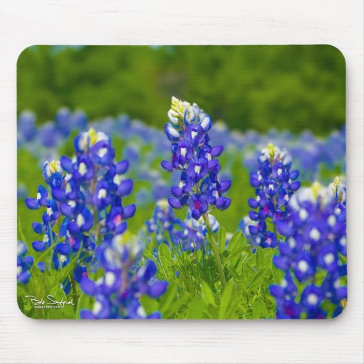Texas Blue Bonnets mousepad Muismat (Voorkant)