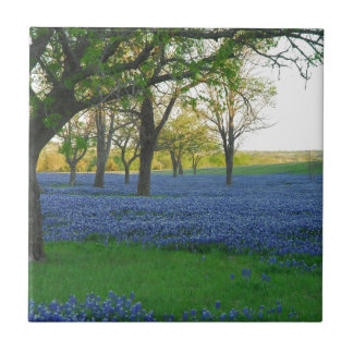 Texas Blue Bonnets Tegeltje