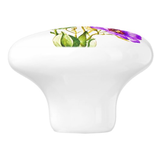 Texas Bluebells Edouana Russellianum Keramische Knop (Zijkant)