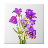 Texas Bluebells Edouana Russellianum Waterverf Tegeltje (Voorkant)