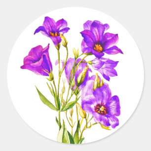 Texas Bluebells Eustoma Russellianum Waterverf Ronde Sticker