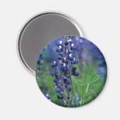 Texas Bluebonnet-2-Best Magneet (Voorkant / Achterkant)