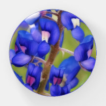Texas Bluebonnet Blauwe Bloem Papergewicht
