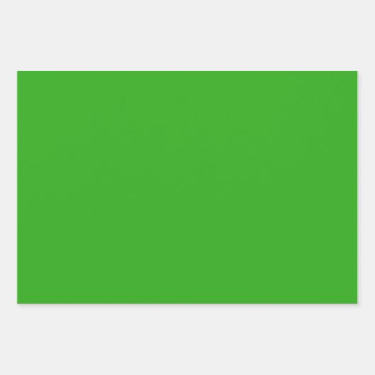 Texas Bluebonnet Blitz Ontwerp Inpakpapier Vel (Voorkant 2)