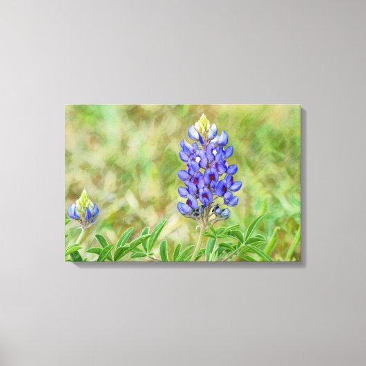 Texas Bluebonnet Bloem Kunst Close-up Canvas Afdruk (Voorkant)