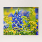 Texas Bluebonnet bloem met geel Legpuzzel (Horizontaal)