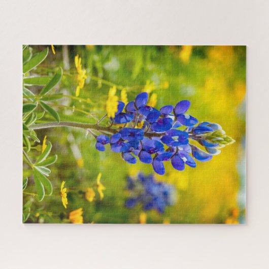 Texas Bluebonnet bloem met geel Legpuzzel (Horizontaal)