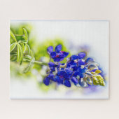 Texas Bluebonnet Bloem op Wit met Graphics Legpuzzel (Horizontaal)