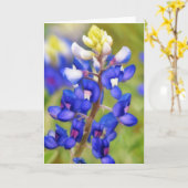 Texas Bluebonnet Blue Flower Art Note Kaart (Gele Bloem)